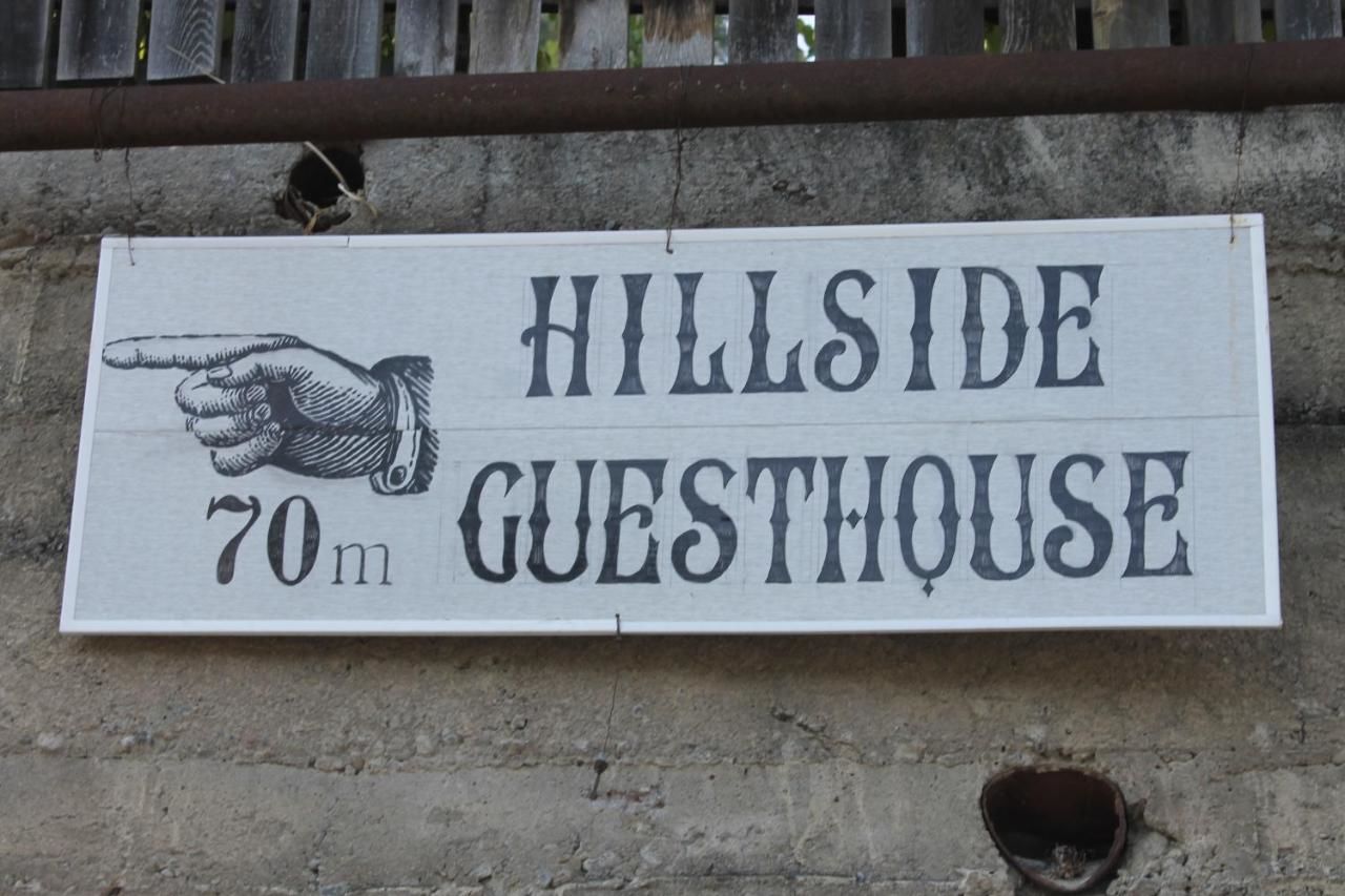 Гостевой дом HillSide Guest House Боржоми-44